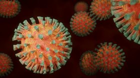 Coronavirus, Foto pixabay